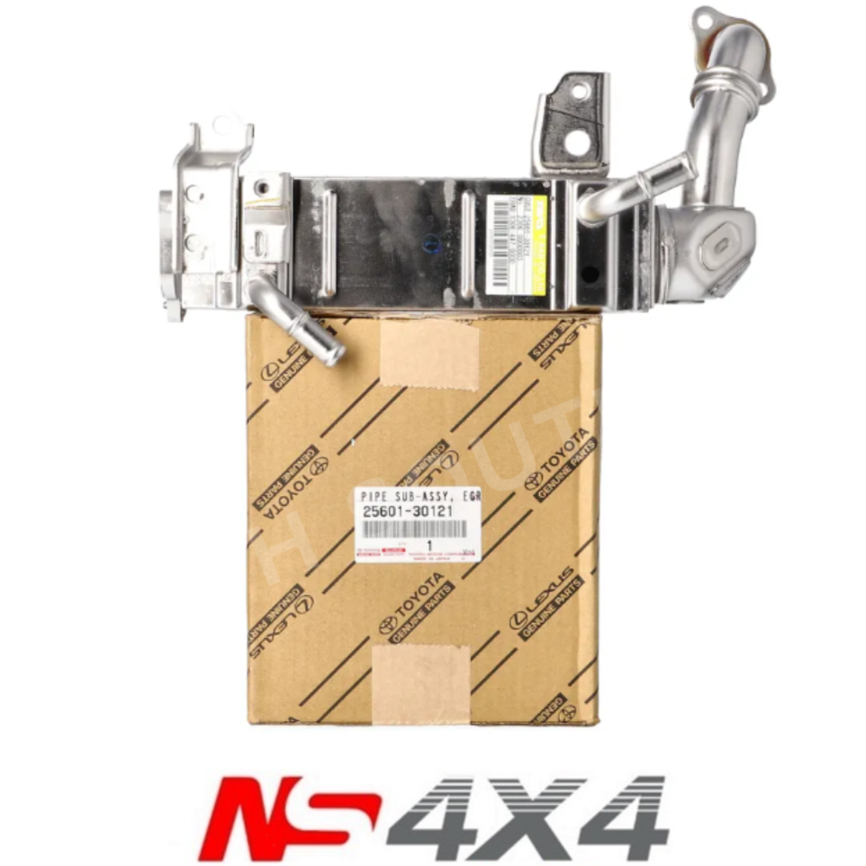 Ns4x4