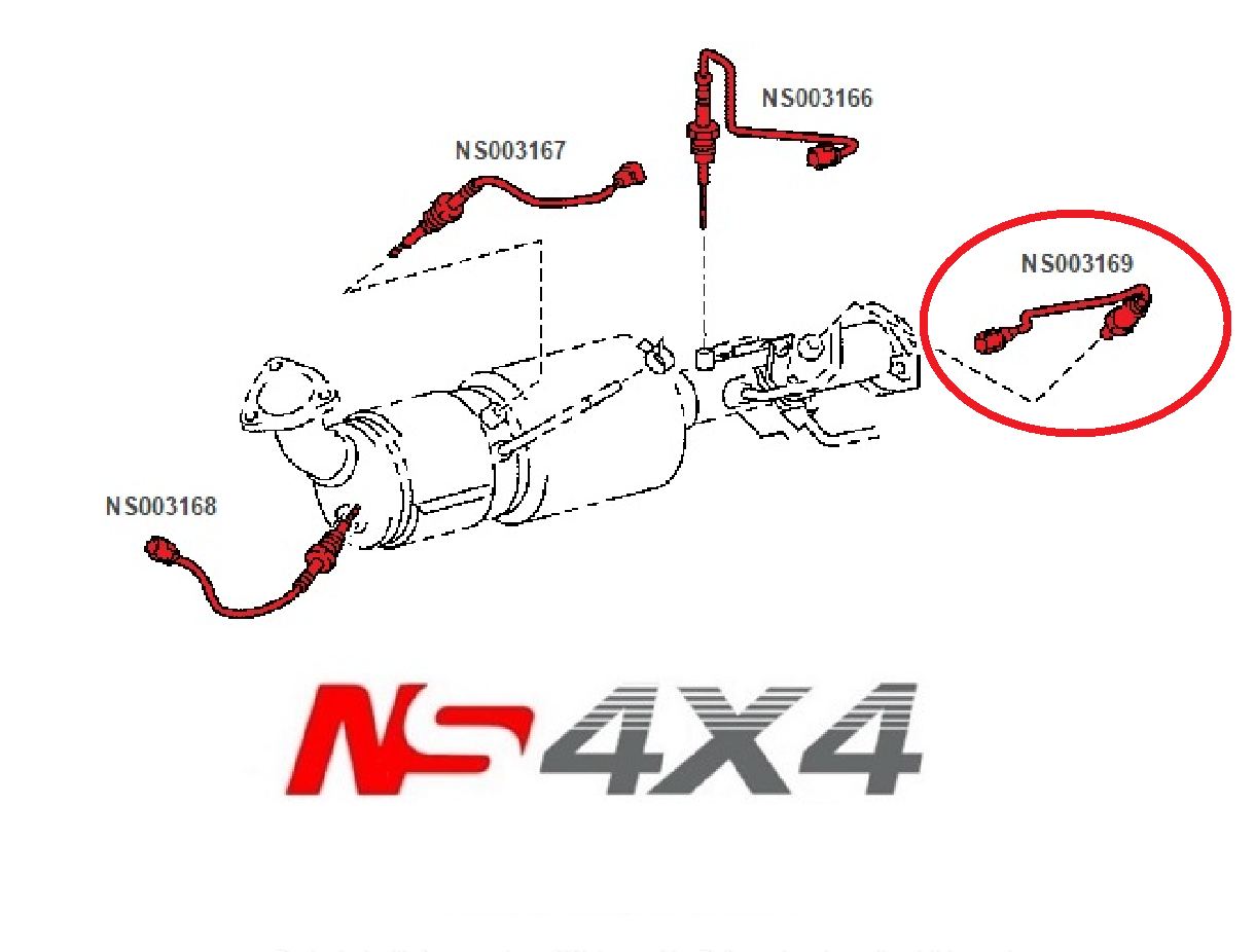 Ns4x4