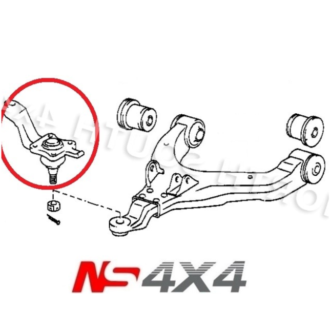 Ns4x4