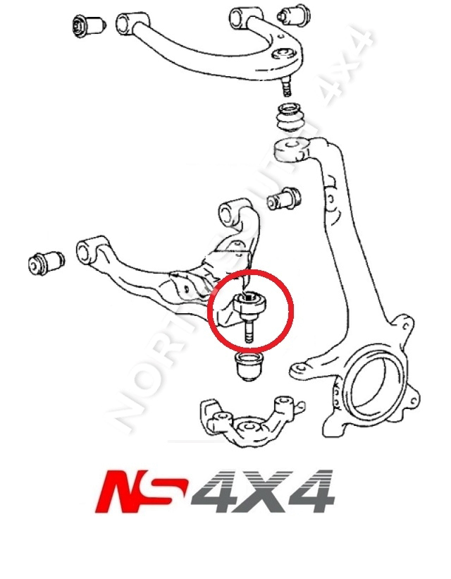 Ns4x4