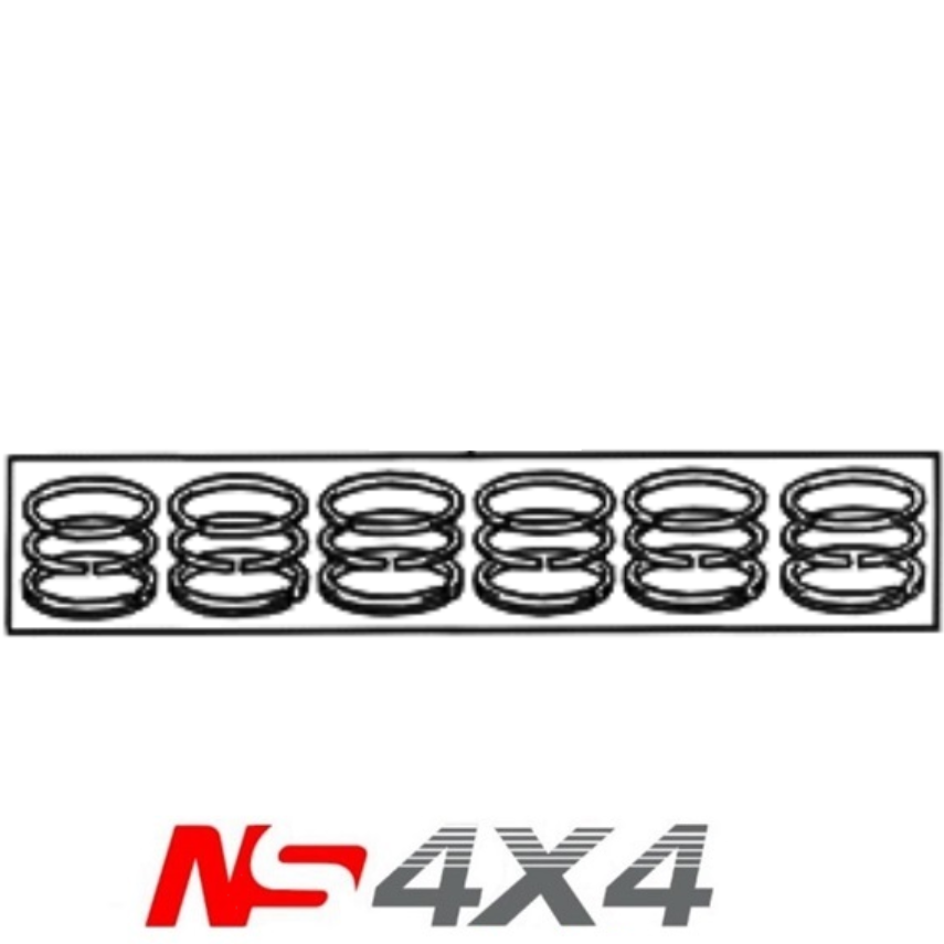 Ns4x4