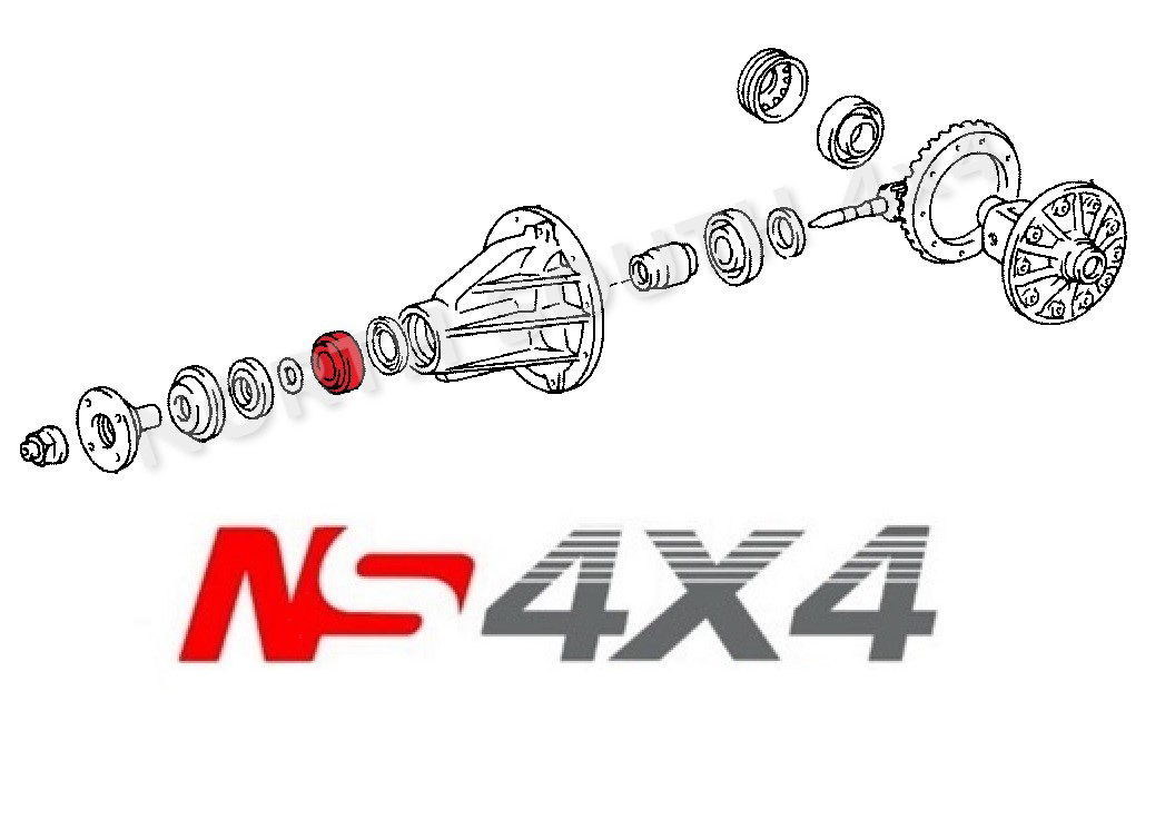Ns4x4