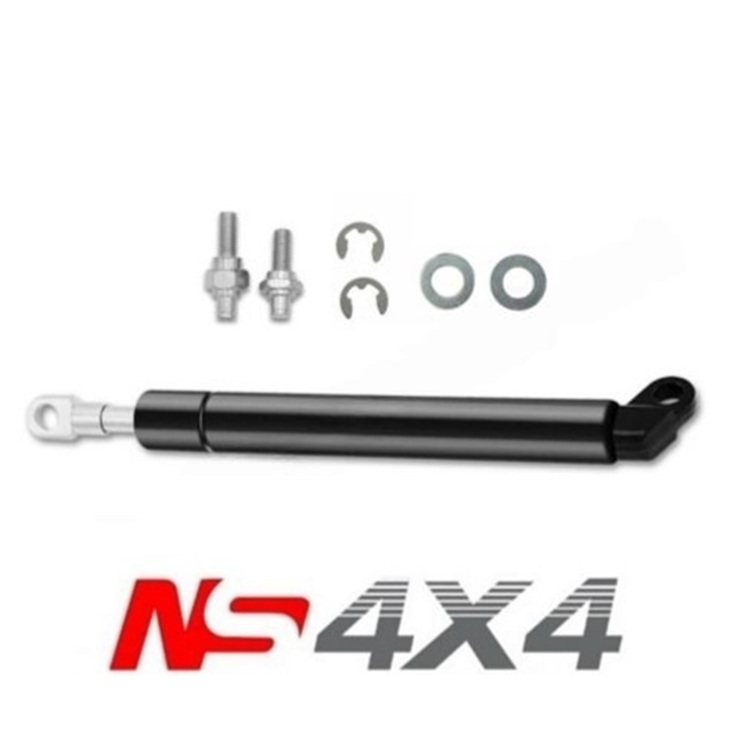 Ns4x4
